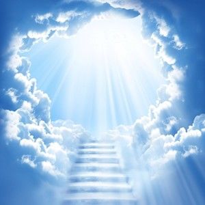 Meet your Posher, Bingo